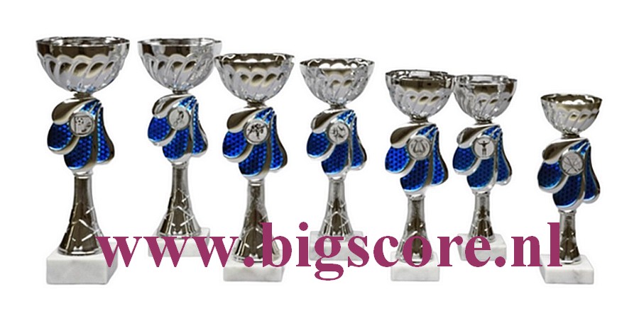 Z 635 Beker Blauw-Zilver 7 Delig